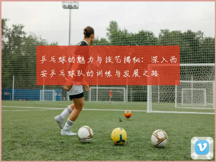 乒乓球的魅力与技艺揭秘：深入西安乒乓球队的训练与发展之路