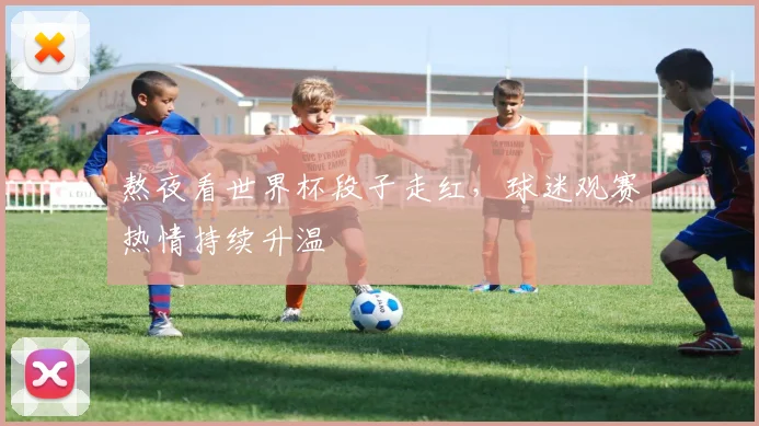 熬夜看世界杯段子走红，球迷观赛热情持续升温
